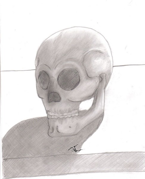 Cranium