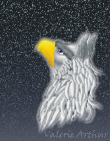 Winter Dreams