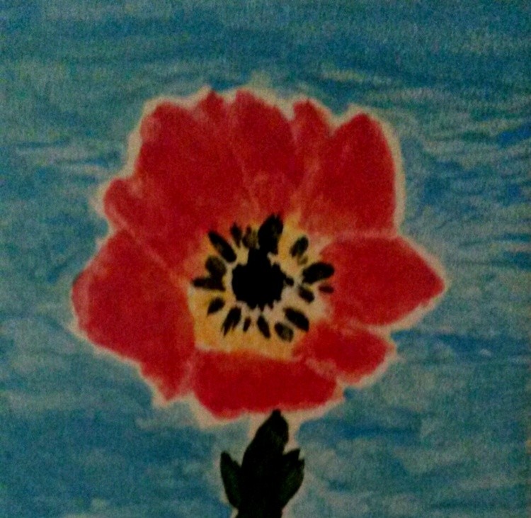poppy