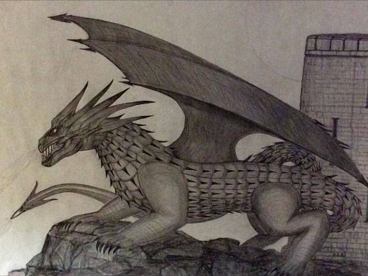 robert's dragon