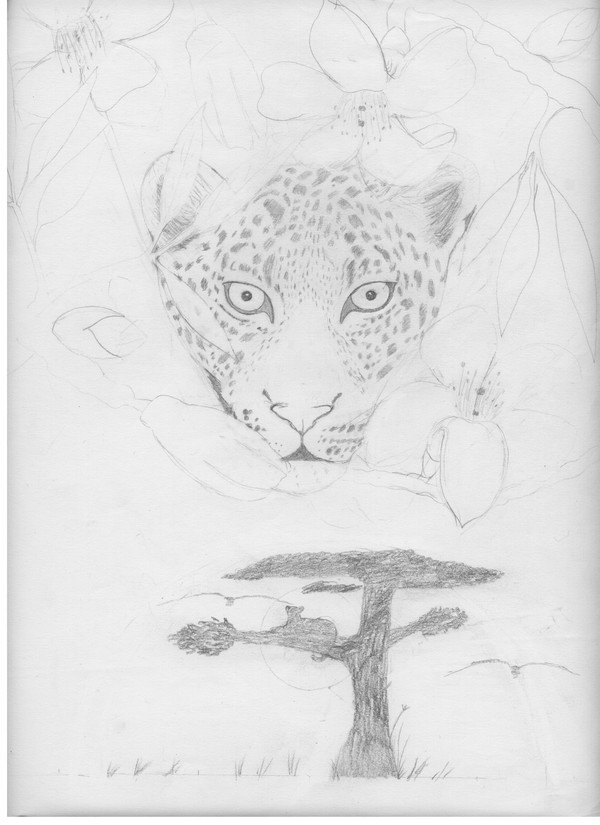 Leopard's Stare