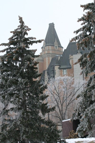 Winter Morning