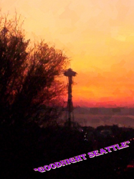 Goodnight Seattle