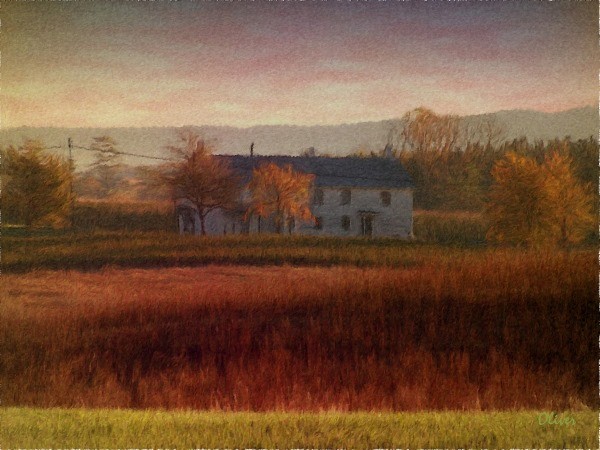 Field Of Slumbers