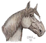 Horse