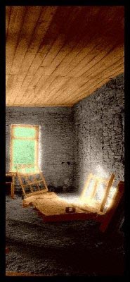 Shelter