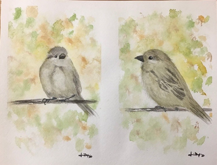 Sparrow