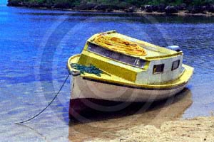 Beached Boat-Tonga 