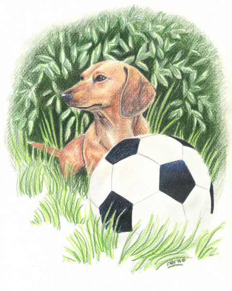 Soccer Anyone?