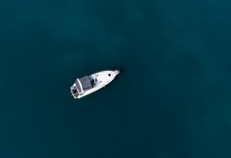 Birds Eye