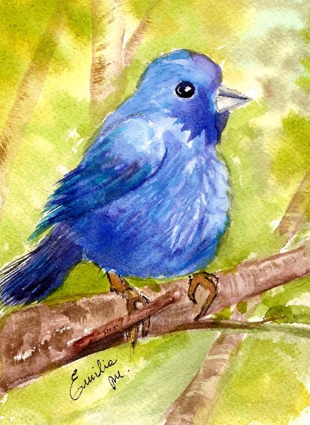 Indigo Bunting