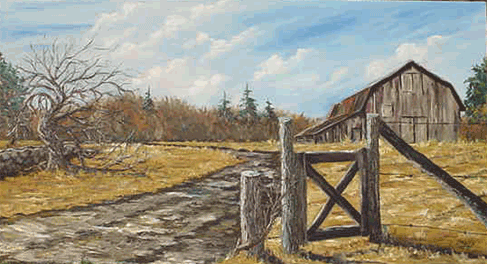 Abandoned Fields