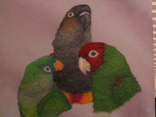 The Trio