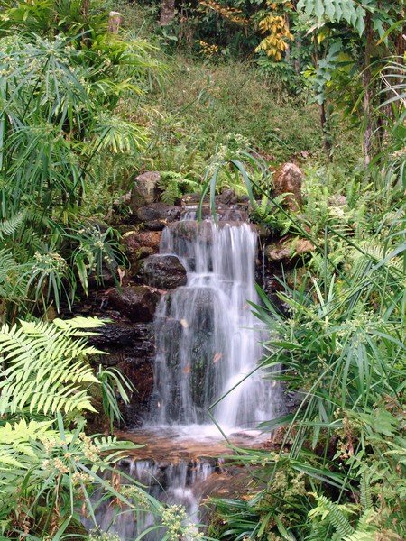 Waterfall Chiang Rai