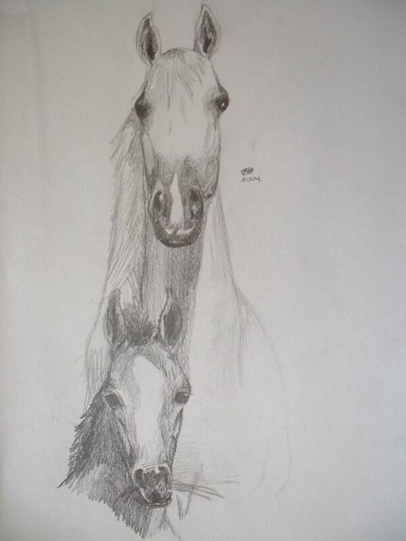 Mare and Foal