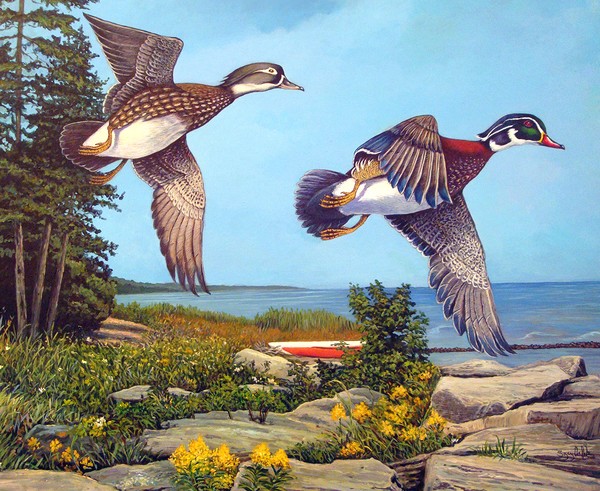 Great Lake Woodies