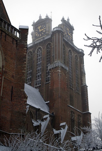 Cadthedral the Dordrecht