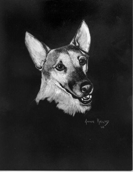 Uptown Dog
