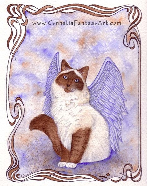 Purrfect Angel