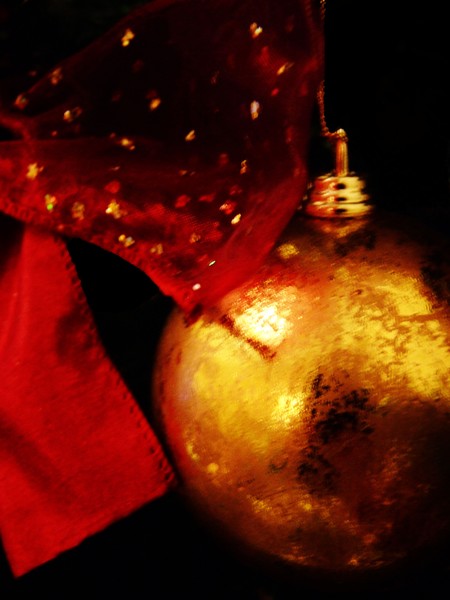 Merry Christmas Everyone