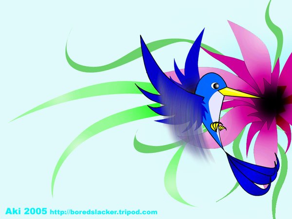 hummingbird
