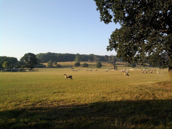 Catton Park 2