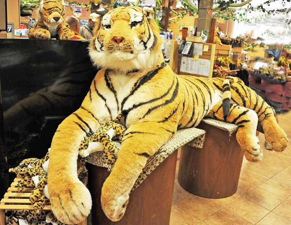 Giant Tiger