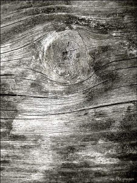 Wooden eye