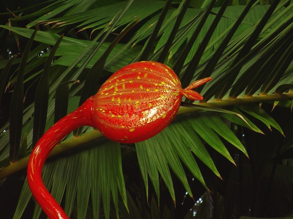 Chihuly 2
