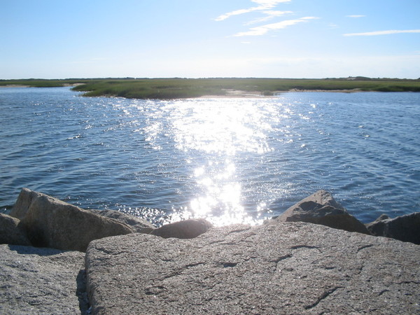 Paradise