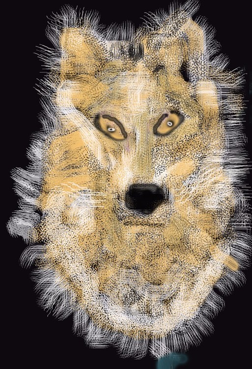 Wolf Bust O687