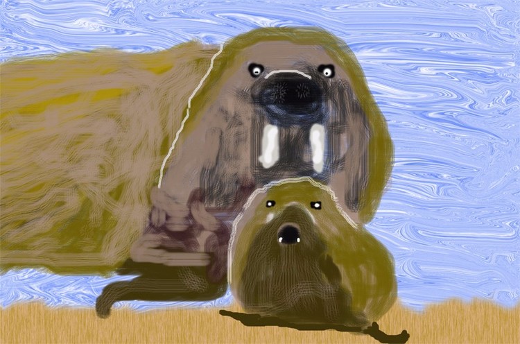 Walrus Mom & Babe (O803)