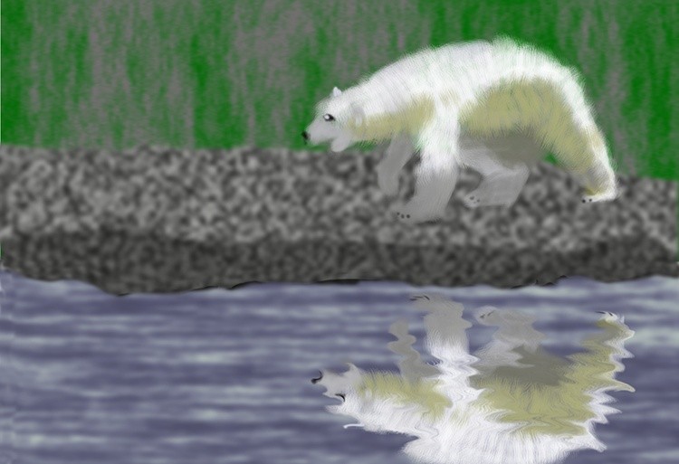 Polar Reflected   P378