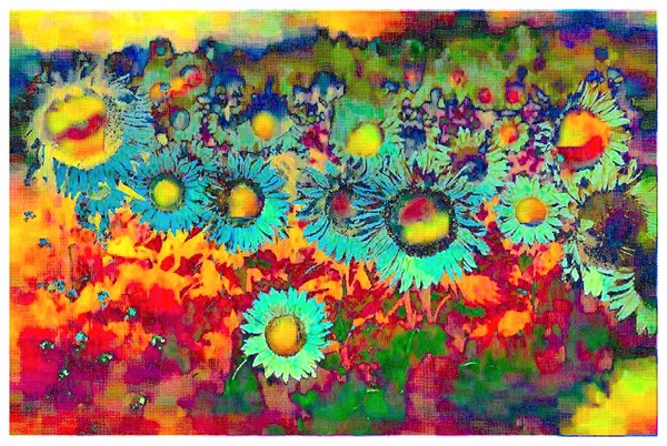Sunflowers