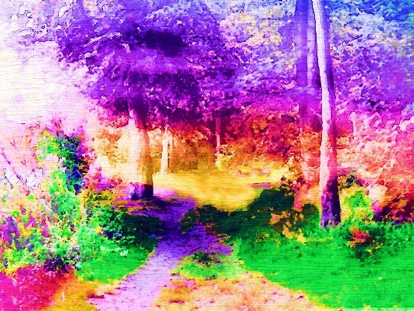 Woodland Color