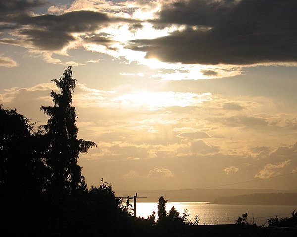 Golden Sky