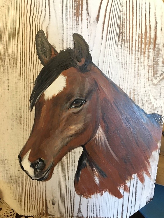 Commissioned Horse 1st