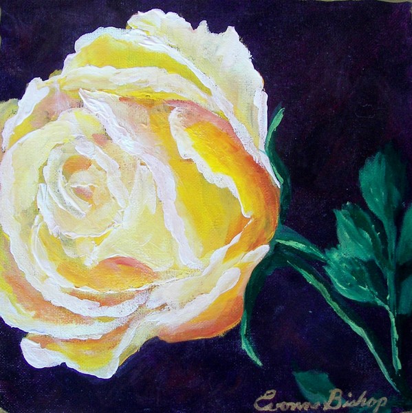 Shimmering Rose