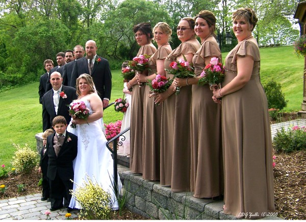 Lisa's Wedding Party Angle 