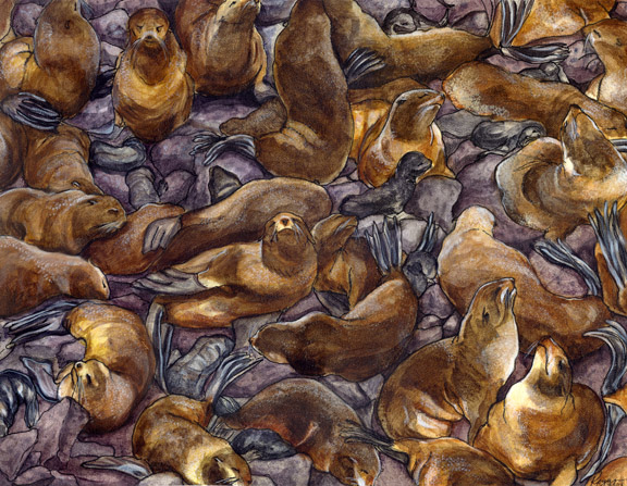Seals