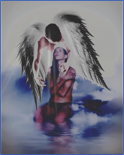 The Angels Watch