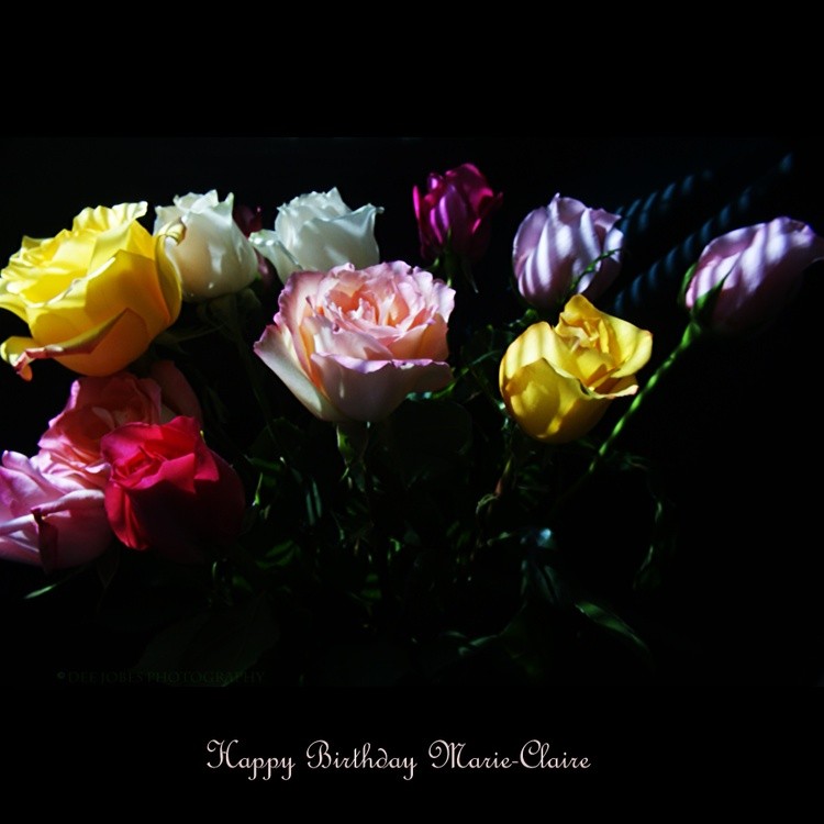 Happy Birthday Marie Claire By DEE JOBES PHOTOGRAPHY ArtWanted
