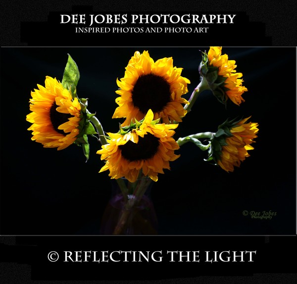 REFLECTING THE LIGHT