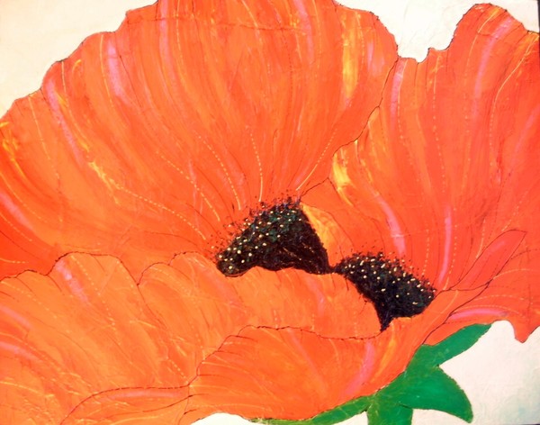 Poppy
