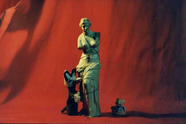 Venus will have her revenge