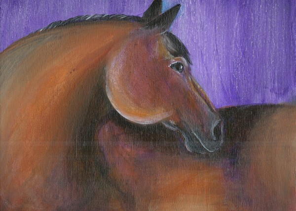 violet horse
