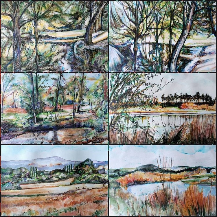 Watercolours of the Manawatu
