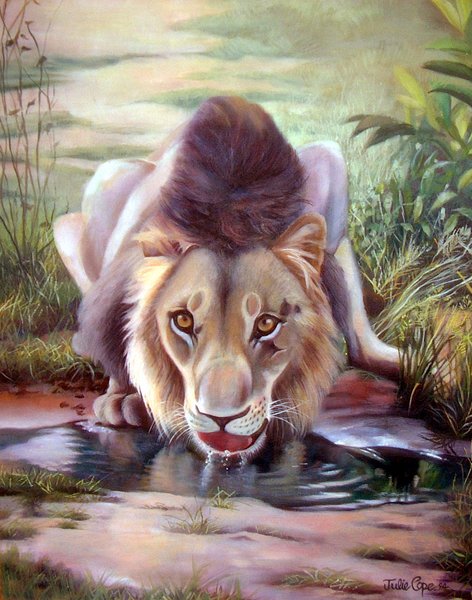 Lion at Waterhole