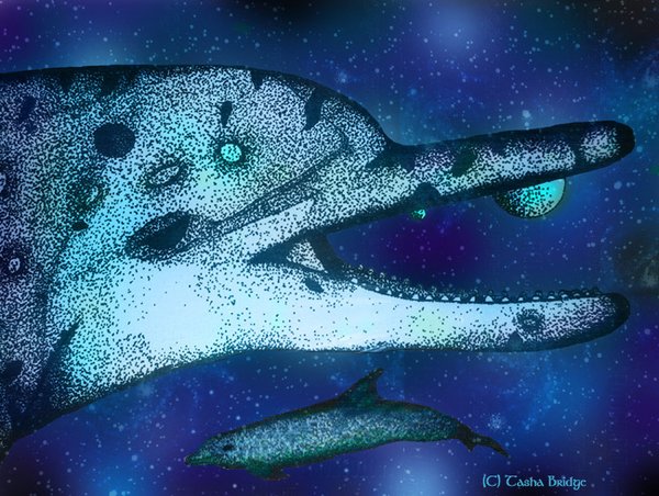 Dolphin's World