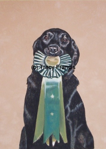 Happi's Ribbon